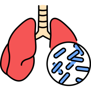 gambar ilustrasi paru-paru terserang kuman